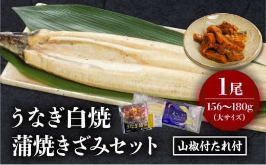 《2026年6月発送予定》うなぎ白焼(大サイズ)・きざみセット_M069-021-jun