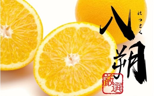 ＜1月より発送＞【先行予約】厳選はっさく7.5kg+250g（傷み補償分）【八朔みかん】※北海道・沖縄・離島への配送不可【ikd185A】