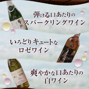 爽快ワイン3種セット C-662