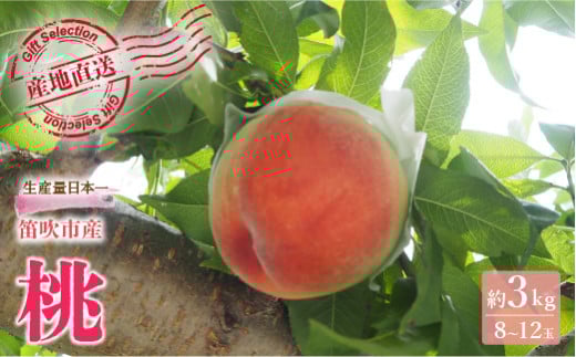 【2026年発送★先行予約】厳選！山梨県笛吹市産桃 約3kg（8～12玉） 156-002-26y