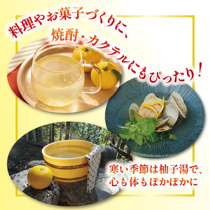 安田町産 ゆず玉～料理にお酒にお風呂にどうぞ～ 期間限定 ゆず 12～15玉 柚子 果物 柑橘 フルーツ スイーツ デザート アレンジ 柚子風呂 ゆず風呂 柚子湯 早期予約 季節限定 ふるさと納税 人