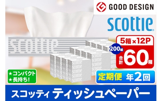 《6ヶ月ごとに2回お届け》定期便 ティッシュペーパー スコッティ 200組 60箱(5箱×12パック) ティッシュ 最短翌日発送