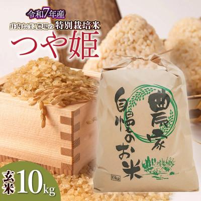 ふるさと納税 鶴岡市 庄内おばこ農場の特別栽培米つや姫玄米 10kg[K-7102]