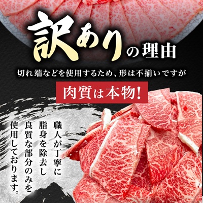 【訳あり】飛騨牛切り落し焼肉用600g【配送不可地域：離島】
