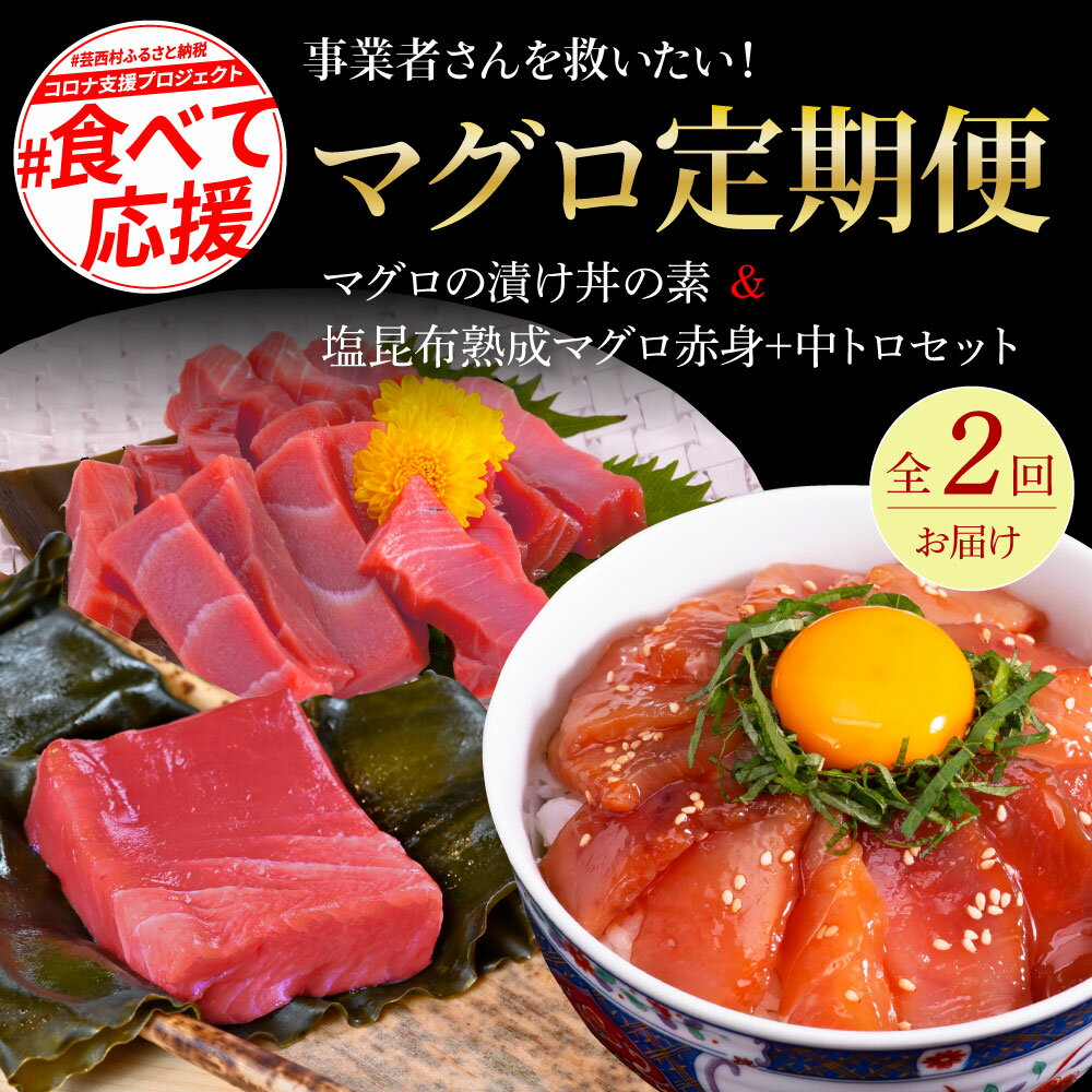 【ふるさと納税】 マグロ定期便【全2回】2ヶ月【マグロの漬け丼×5P】【赤身×2冊 中トロ×2冊 計4冊】海鮮 漬け マグロ 定期便 鮪 まぐろ トロ 海鮮丼 お刺身 刺身 さしみ 魚 切り身 冷凍配送 お楽しみ 詰め合わせ セット 定期 ふるさと納税 高知県 返礼品 31000円