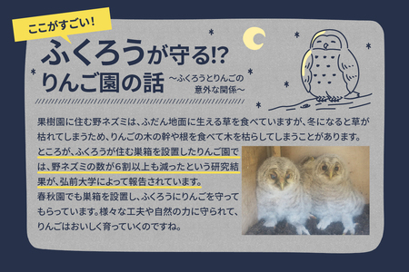 りんごとりんごジュースの定期便4回【2025年9月発送開始／先行予約／訳あり】 りんご リンゴジュース定期便（サンふじ 早生ふじ サンつがる 青森  林檎 リンゴ 定期 りんごジュース）