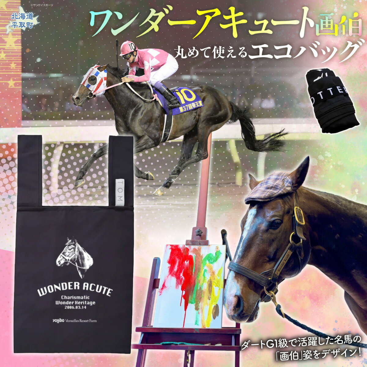 【ふるさと納税】【ワンダーアキュート】丸めて使えるエコバッグ 【ふるさと納税 人気 おすすめ ランキング 馬 競馬 競走馬 引退馬 ワンダーアキュート 鞄 バッグ エコバッグ 買い物 生活 日高 北海道 平取町 送料無料】 BRTV204