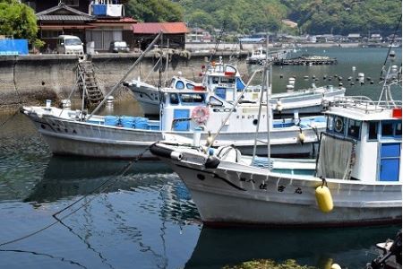 ちりめんひじきセット