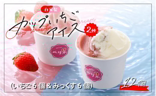 自家製カップアイス2種セット（いちご 6個 & みっくす 6個） [A-045002]
