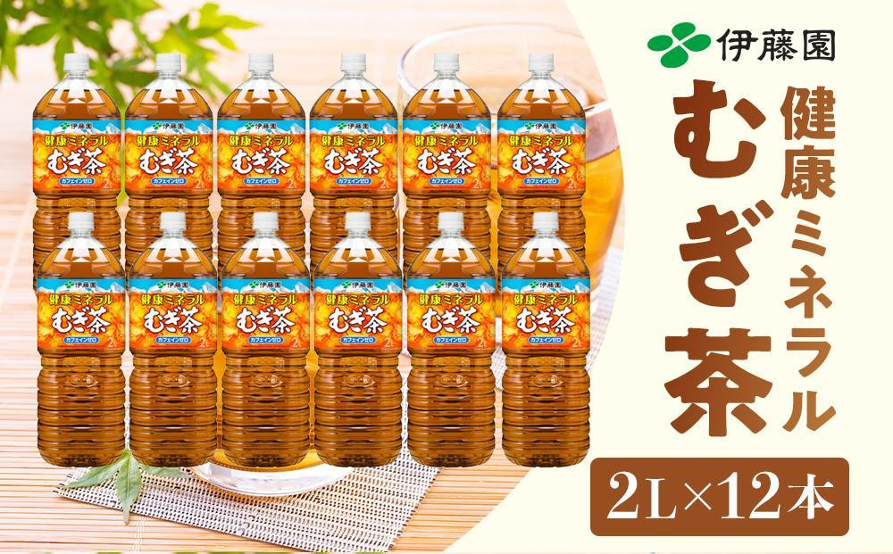 
            伊藤園 健康ミネラル麦茶 2L 6本×2ケース 計12本
          