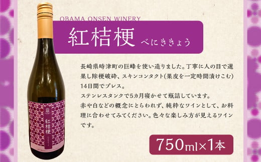 
紅桔梗2022 BENIKIKYO2022 750ml×1本 アルコール分11% ワイン 国産 巨峰 ぶどう お酒 アルコール
