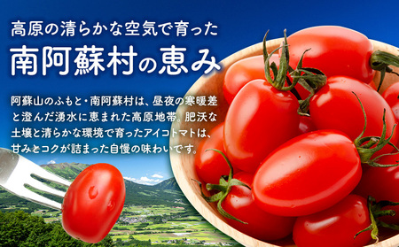 ミニトマト アイコ 約3kg ますだふぁーむ《7月上旬-11月末頃出荷》熊本県 南阿蘇村 アイコトマト 野菜 旬 夏野菜 トマト
