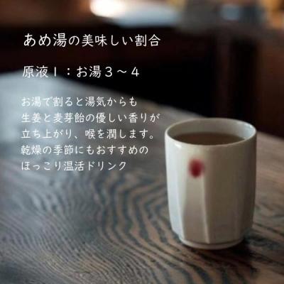 ふるさと納税 京都市 【するがや祇園下里】あめ湯(ひやしあめ)濃縮 200ml×5本セット |  | 03