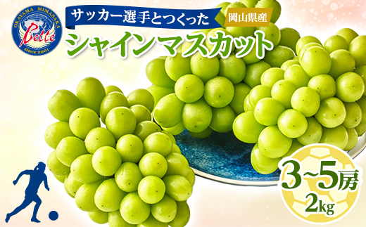 
岡山県美作市産　Belleシャインマスカット 2kg(3房～5房)【1430610】
