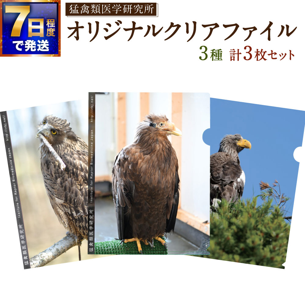 【ふるさと納税】【7日程度で発送】猛禽類医学研究所オリジナルクリアファイル3種セット 計3枚 各1枚 シマフクロウ『ちび』・オジロワシ『ベック』・何が当たるかお楽しみ猛禽類 クリアファイル 文房具 小物 雑貨 猛禽類 鳥 動物 北海道 釧路市 送料無料