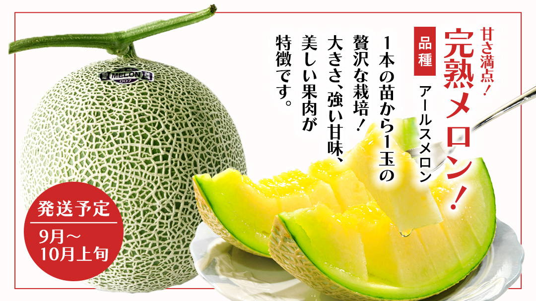 【 野菜ソムリエ 厳選 】 旬 の フルーツ 定期便 ( イチゴ スタート ) 4回 先行予約 果物 いちご イチゴ 苺 とちおとめ やよいひめ かおり野 すいか 小玉スイカ ピノガール トマト フル