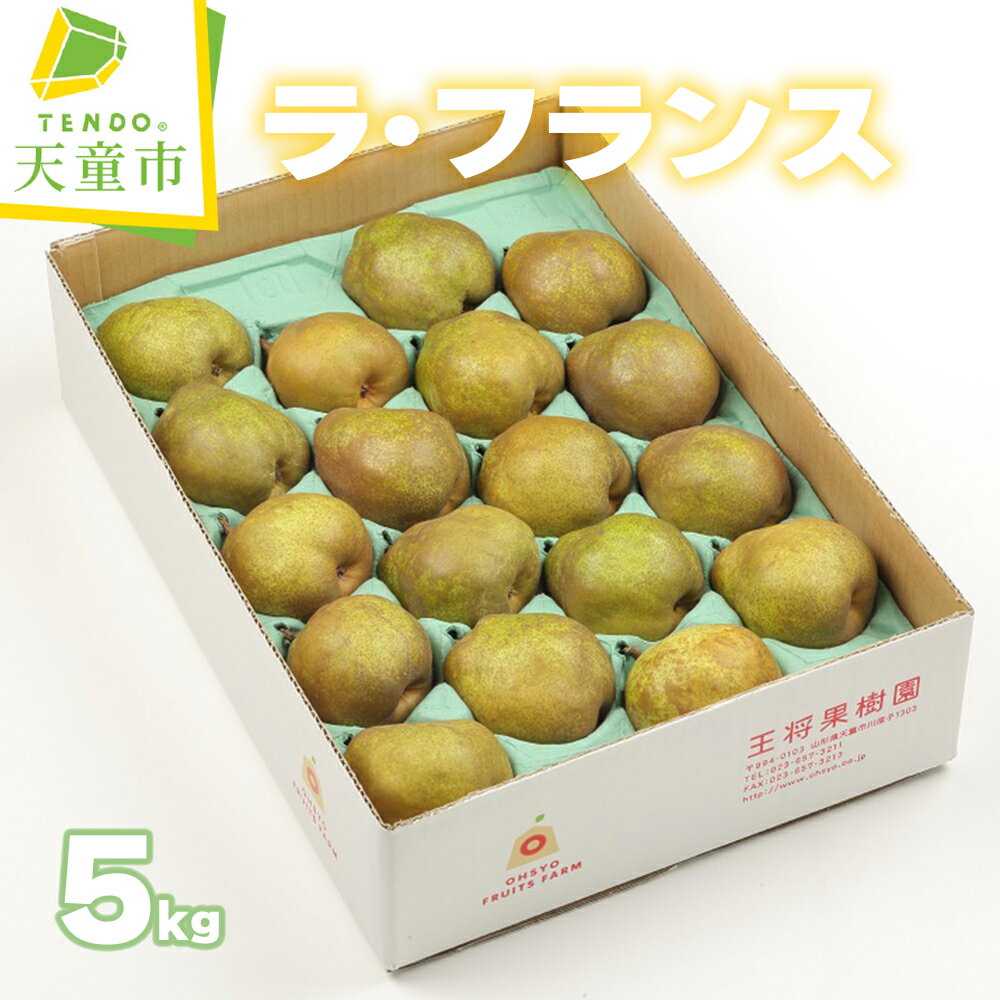 【ふるさと納税】 ラ・フランス 5kg ラフランス 洋梨 果物 フルーツ 秀 14玉 〜 20玉 家庭用 のし 贈答 ギフト プレゼント おすそ分け お取り寄せ 旬 秋 冬 期間限定 送料無料 先行予約 【 山形県 天童市 】