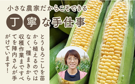 【素材の旨味たっぷり】玉葱農家の コーンスープ（5袋）【玉葱農家 陣内ちひろ】[IAO022]