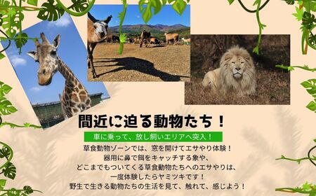 東北サファリパーク入園チケット 大人2名＋小人1名（ 入園チケット＋草食動物のエサ）【株式会社東北サファリパーク】