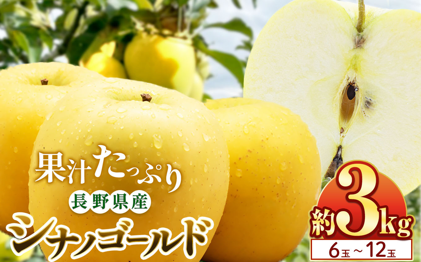 
            シナノゴールド 3kg(6～12玉)｜ふるさと納税 松本市 シナノゴールド りんご 林檎  果物 フルーツ 信州 美味しい 
          