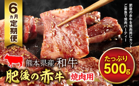 ≪6ヵ月定期≫肥後の赤牛 焼肉用（500g） FKP9-453