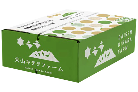 新甘泉3kg箱(鳥取県大山町産梨)【梨  新甘泉 先行予約 季節限定 赤梨 3kg 8玉～12玉 なし 二十世紀 期間限定 果物 フルーツ くだもの  数量限定】