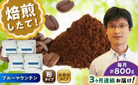 【全3回定期便】ブルーマウンテンNo.1　コーヒー粉　200g×4個(粉/中挽き)  / コーヒー  ドリップ  粉 / Coffee SAKURA[BBAB095]