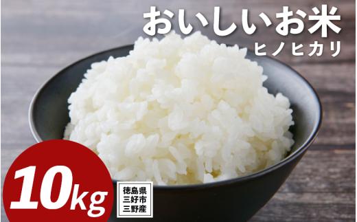 米 令和7年産 新米 10kg ヒノヒカリ 米 こめ お米 ご飯 ごはん おにぎり 白米 精米 ギフト 贈答 プレゼント グルメ 送料無料 徳島県 三好市 みよし 篠原農園