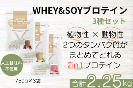 ALPRON BASIC WHEY&SOY 3種セット（750g×3個） ホエイプロテイン ソイプロテイン 2in1プロテイン プロテインセット チョコプロテイン ミックスベリープロテイン ミルクティープロテイン