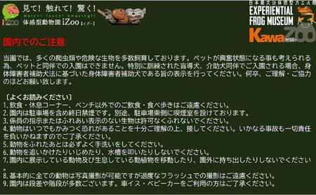 パスポート イズー カワズー 大人2名 ペア パスポート
