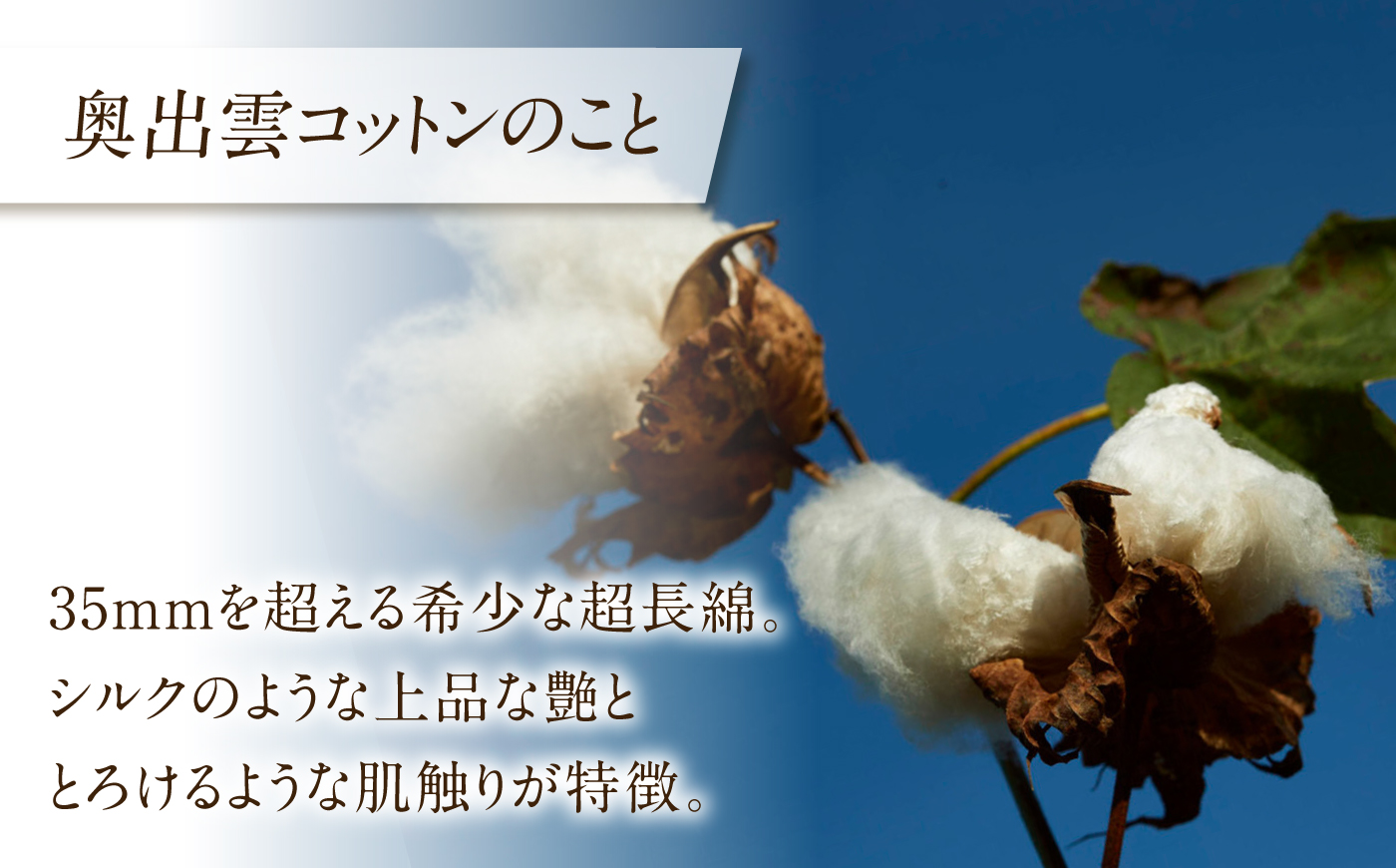【種から育てた奥出雲コットン】出雲襟付きパジャマ＜ホワイト＞ nanadecor 綿100％ 島根県雲南市/有限会社Juliette [AIEP002]