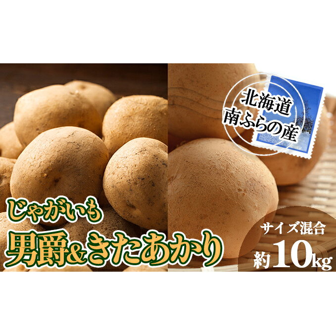 【ふるさと納税】南ふらの産 じゃがいも 男爵 ＆ きたあかり 約10kg【サイズ混合】 北海道 南富良野町 じゃがいも ジャガイモ キタアカリ 北あかり 2025年発送 先行予約 ポテト 野菜 　お届け：2026年9月初旬～10月中旬