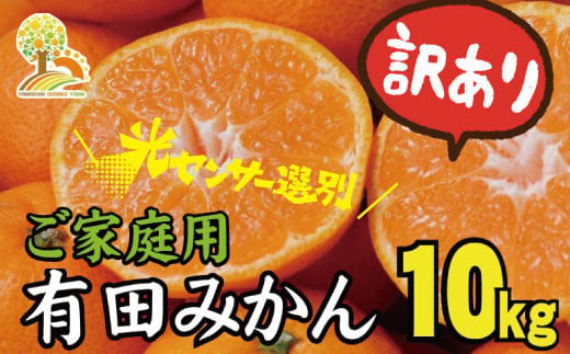 
【訳あり】農家直送 有田みかん 約10kg ご家庭用 サイズ混合 ※2024年11月中旬から2025年1月中旬までに順次発送予定（お届け日指定不可）※北海道・沖縄・離島への配送不可 訳ありみかん 温州みかん サイズ混合 有機質肥料100% 柑橘 有田 産地直送【nuk138B】
