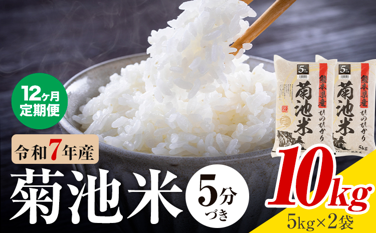 【12ヶ月定期便】令和7年産 熊本県産 菊池米 5分づき 10kg 1袋5kg 株式会社くまもとごはん 《お申込み翌月に出荷予定》米 お米 令和7年産 九州産 熊本県産  送料無料---026-3132mo12---