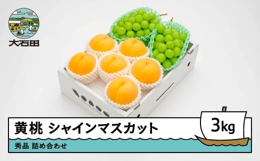 【先行予約】 有袋黄桃 秀品＆シャインマスカット 品種おまかせ 詰め合わせ 約3kg フルーツ 果物 もも 令和8年産 2026年産 山形県産 ns-fsosx3