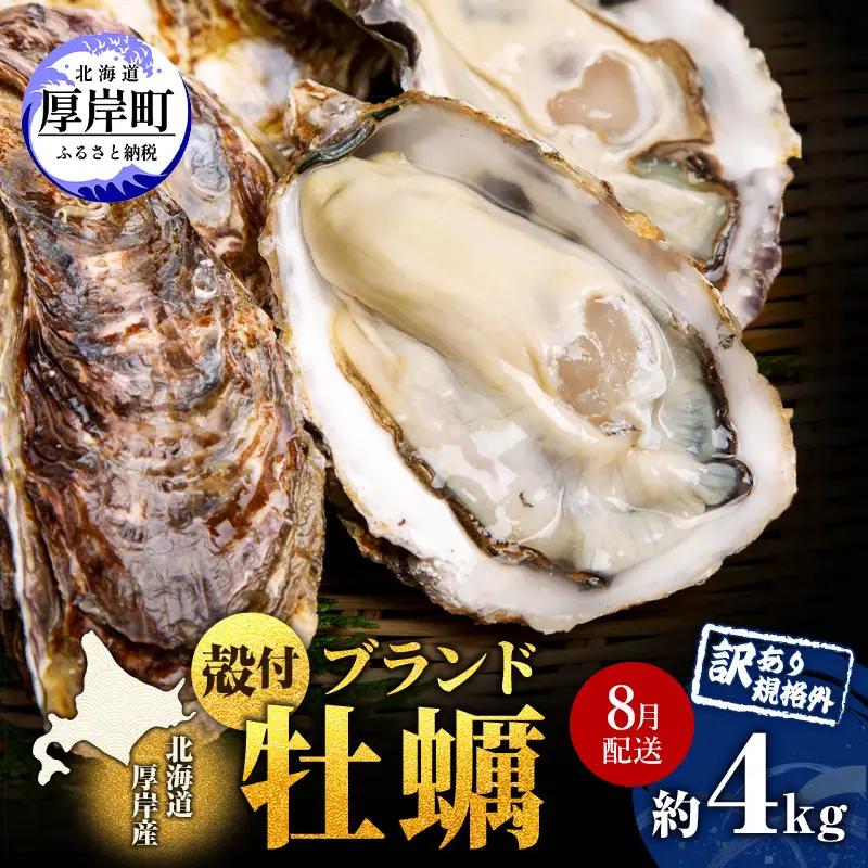 8月配送 訳あり 牡蠣 北海道厚岸産 殻付カキ 約4kg (25から50個) カキナイフ付 生食 生牡蠣 貝付き牡蠣 貝 海鮮 魚介類 殻付き牡蠣 マルえもん