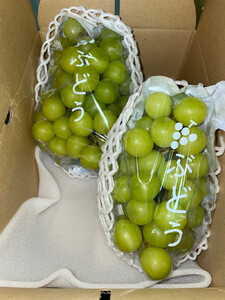 ［2025年限定］有田巨峰村三木と園の特特大シャインマスカット約1.6kg（2房）［決済から7日程度で発送］