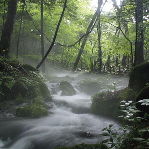 栃木県塩谷町で製造　ばんのう酵母くん(23ml×6本)　2箱
