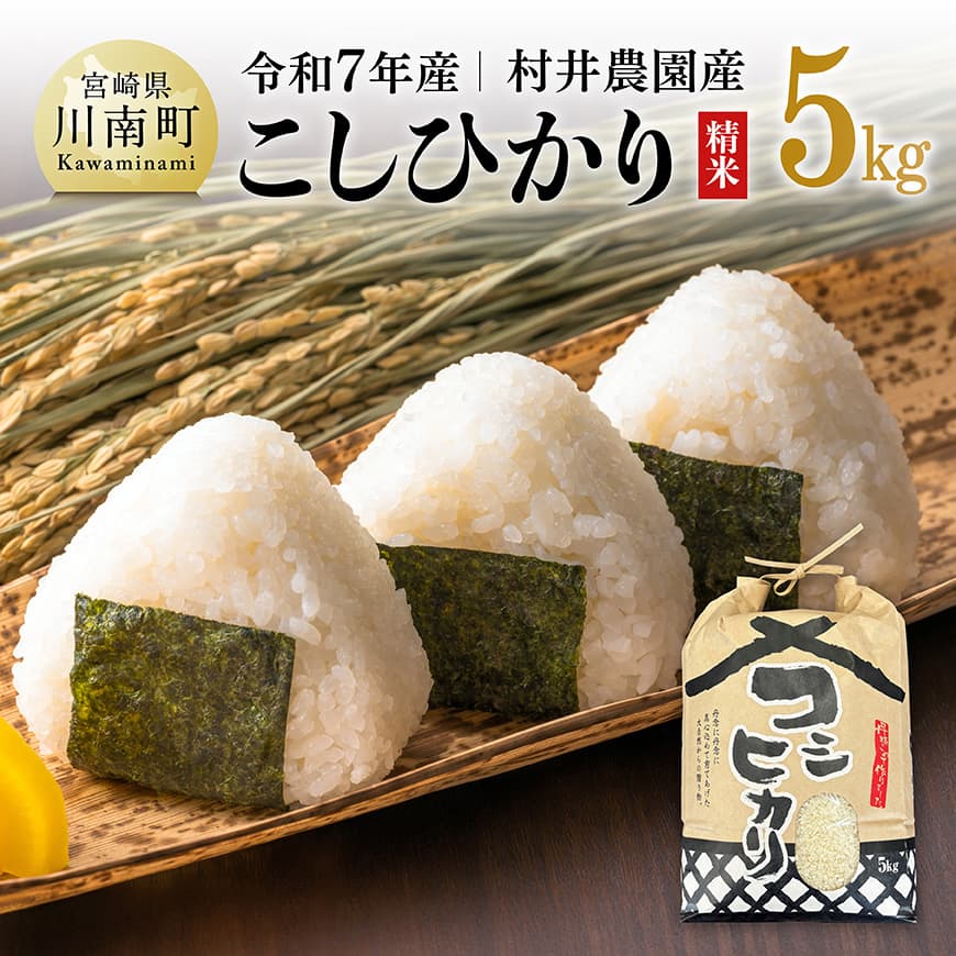 【ふるさと納税】【令和7年産】宮崎県産米　村井農園産こしひかり（精米）5kg - 米 お米 白米 精米 こしひかり 国産 宮崎県産 おにぎり C10004