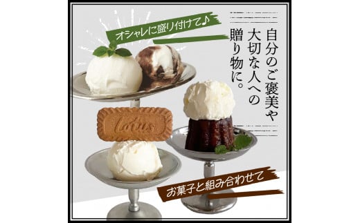 【2026年1月配送】とよとみ牛乳ソフトクリーム【120ml 3種類 計8個】