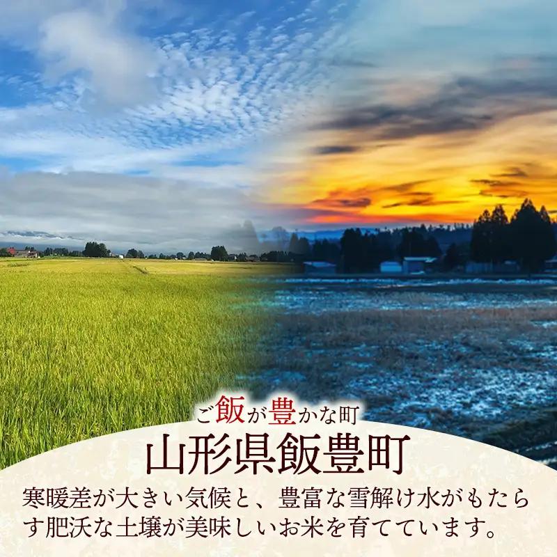 【R7年産米】つや姫 白米 10㎏(5kg×2) - 米 ごはん 山形県 飯豊町
