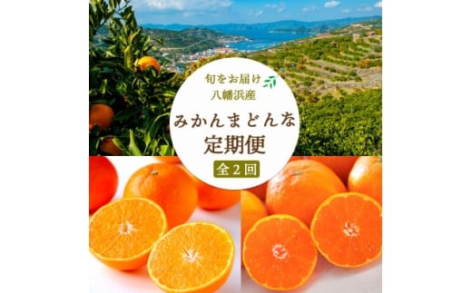 ＜発送月固定定期便＞愛媛みかん 大玉8kg×まどんな2.5kg＜F25-248＞全2回【4070996】