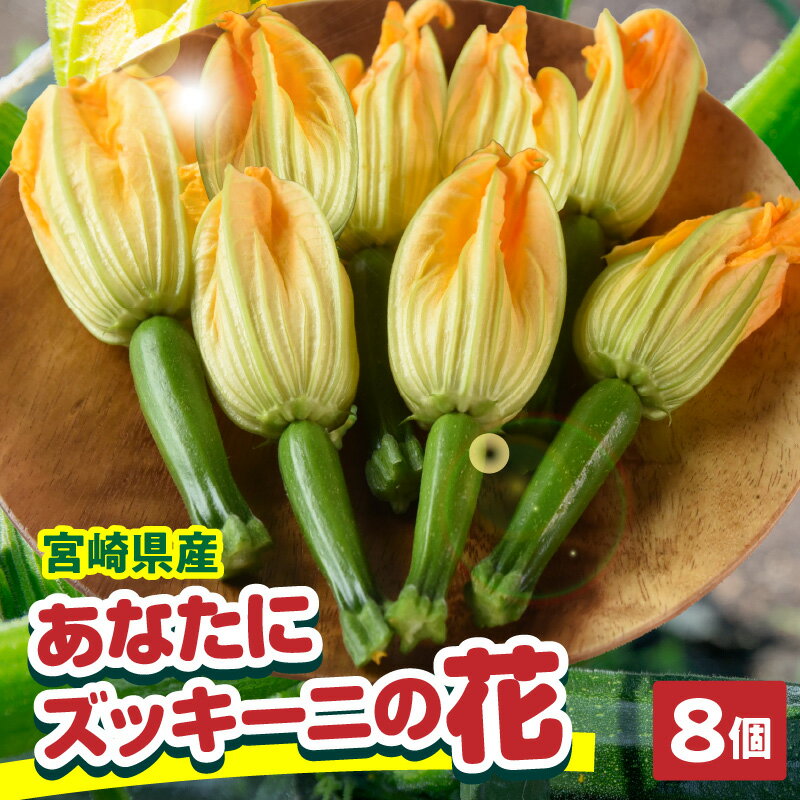 【ふるさと納税】あなたにズッキーニの花 8個