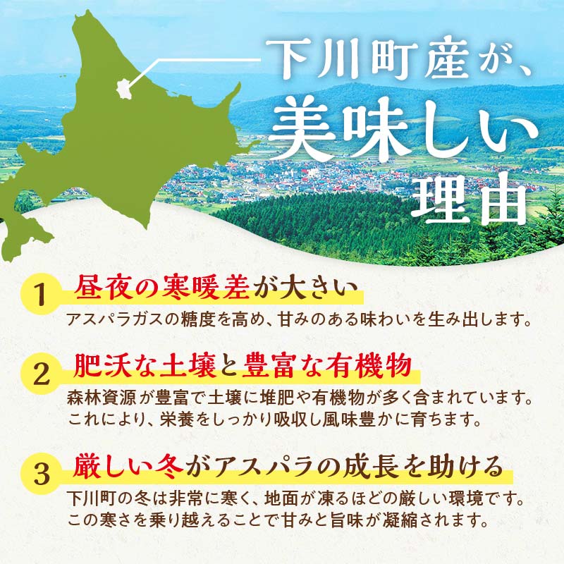【先行予約】令和8年産グリーンアスパラガス 1kg Ｌサイズ（令和8年5月中旬～6月中旬頃発送） アスパラ 野菜 やさい ふるさと 納税 国産 北海道産 北海道 下川町 F4G-0286