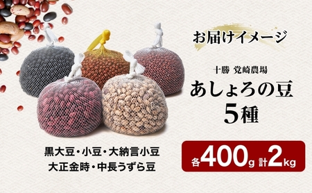 北海道 あしょろの豆 5種 計2kg（各400g×各1袋）《足寄町》【党崎農場】小豆 小豆 小豆 小豆 小豆 小豆 小豆[BEAA011]