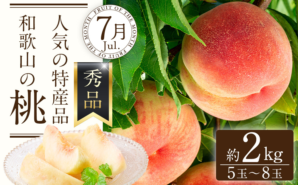 定期便全3回 【7月・8月・9月発送】 和歌山の夏のフルーツをお届け（桃・梨・シャインマスカット） ［TM224］
