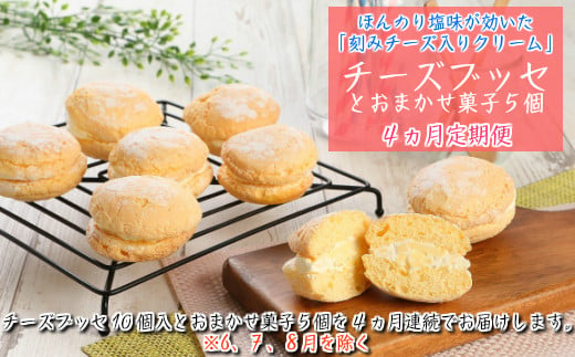 
【定期便４カ月】こだわりの窯焼き「チーズブッセ」１０個入とおまかせ菓子５個×４ヵ月連続お届け
