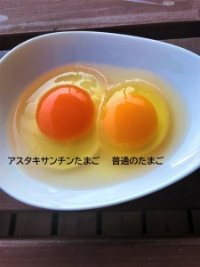 江原ファーム　超高級 アスタキサンチンたまご 計20個 割れ補償 ※着日指定不可| 卵 たまご タマゴ _AG12