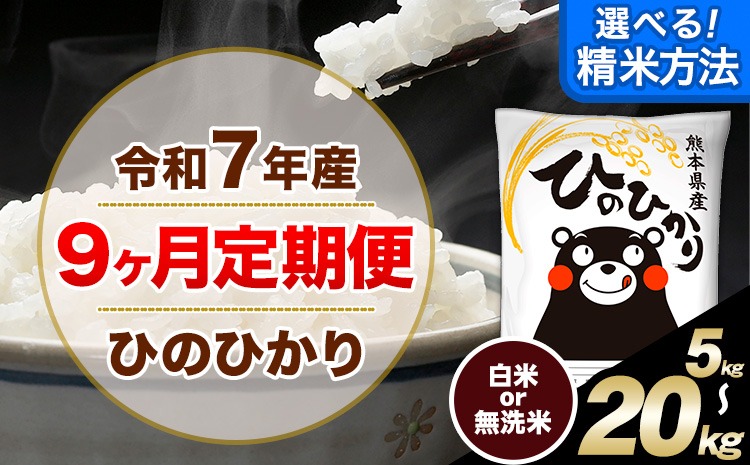 新米 令和7年産 白米 【9ヶ月定期便】 選べる 精米方法 白米 無洗米 ひのひかり 5kg 10kg 15kg 20kg《お申込月の翌月から出荷開始》 白米 精米 熊本県産(南阿蘇村産含む) 単一原料米 南阿蘇村 ひの 送料無料 熊本県 SDGs むせんまい 米 コメ こめ 国産 定期便---hn7tei_112500_5kg_mo9_mna_h---