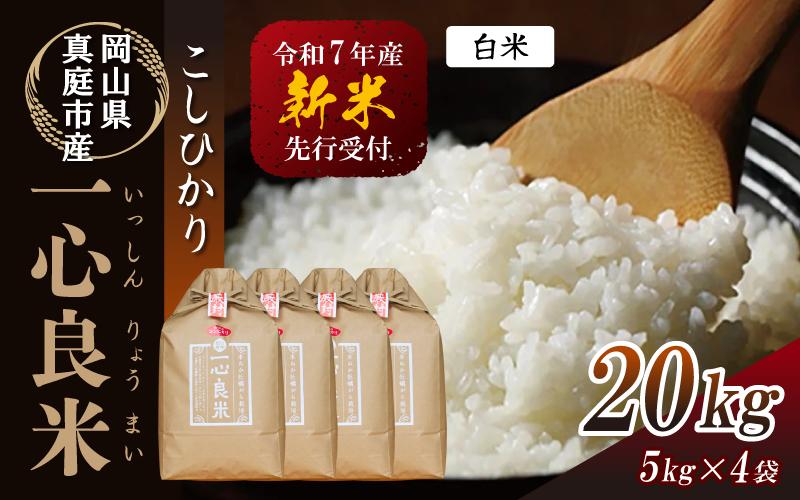 
            【令和7年産】 真庭市産コシヒカリ 米ぬか 牡蠣栽培米 『 一心良米 』 白米 20kg (5kg×4袋） / お米 いっしんりょうまい 岡山県 こしひかり 人気 ブランド 新米 2025年産 【tkns013-01-cho】
          